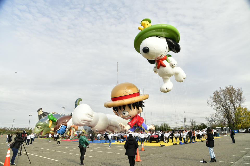 The Beagle Scout Balloon