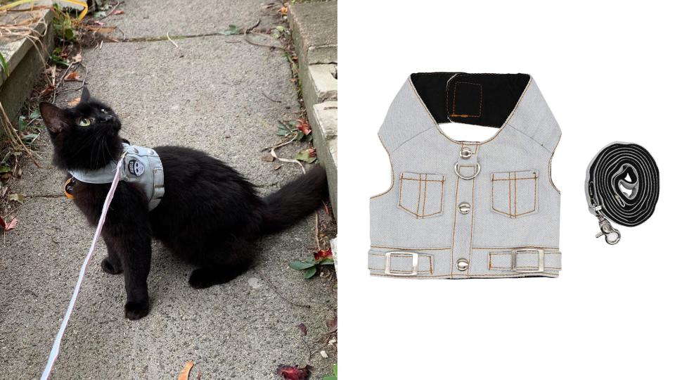 Best cat gifts: Denim Vest