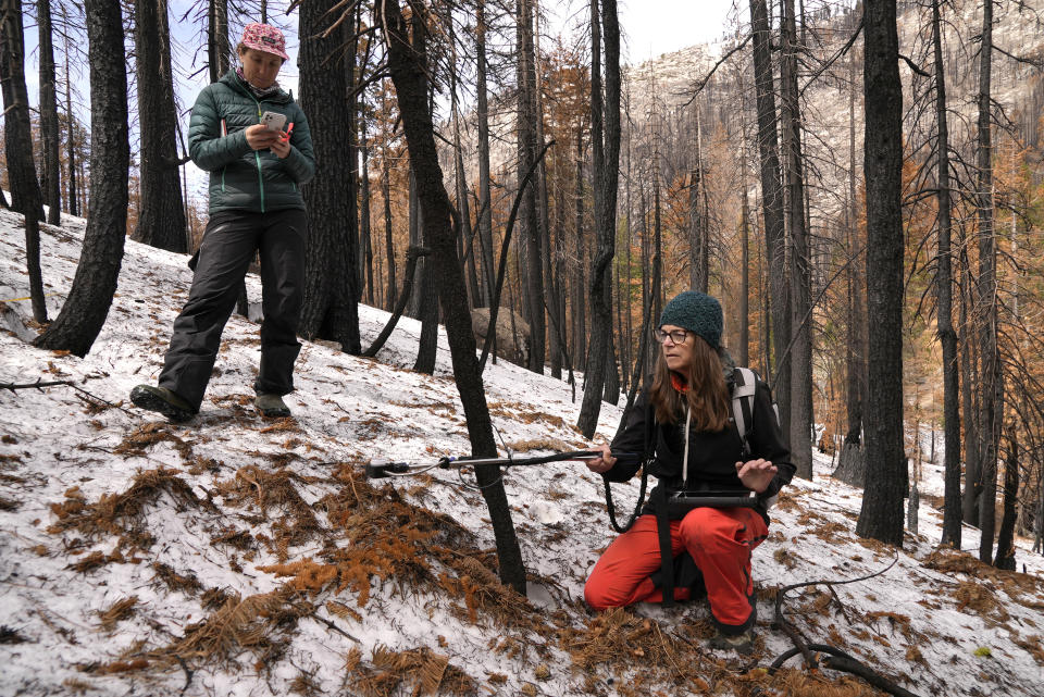 Graduate student Arielle Koshkin, left, takes notes as snow hydrologist Anne Nolin, right, measures snow reflectivity at the site of the 2021 Caldor Fire Monday, April 4, 2022, near Twin Bridges, Calif. As wildfires increase in severity and frequency across the West, researchers are studying how charred bark shedding from scorched trees may be further disrupting water supplies by contributing to an acceleration of snow melt to rivers, possibly leaving less water flowing in the summer when it's most needed. (AP Photo/Brittany Peterson)