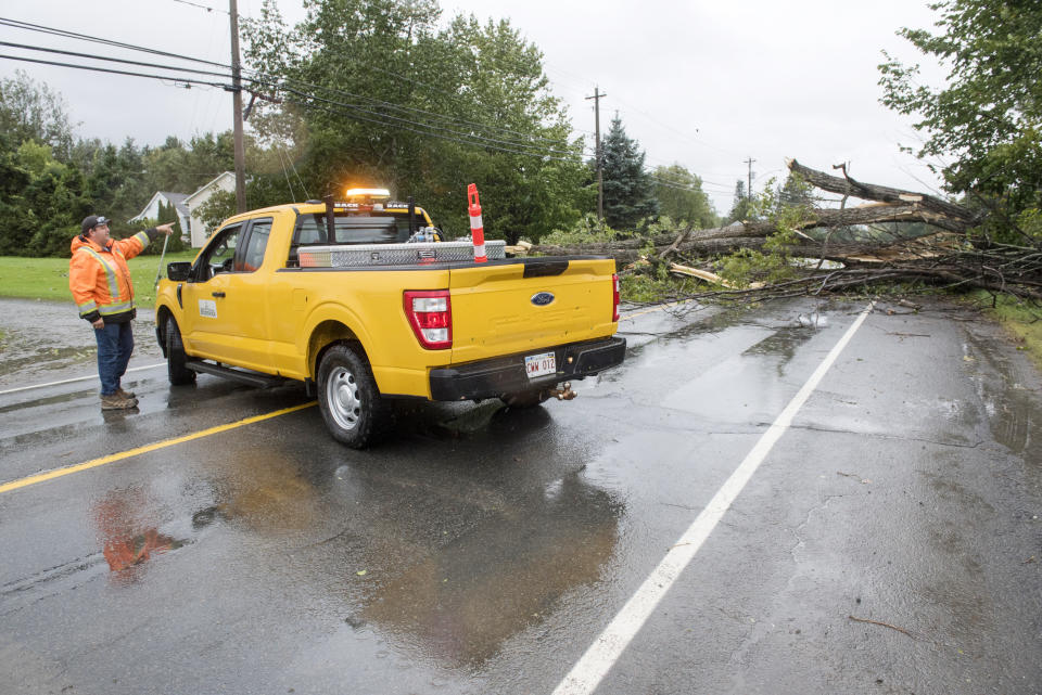 Personnel with the New Brunswick department of transportation and infrastructure block the road next to a large tree that fell on Woodstock Road in Fredericton, N.B., on Saturday, Sept. 16, 2023. Severe conditions were predicted across parts of Massachusetts and Maine, and hurricane conditions could hit the Canadian provinces of New Brunswick and Nova Scotia, where the storm, Lee, downgraded early Saturday from hurricane to post-tropical cyclone, was expected to make landfall later in the day. (Stephen MacGillivray /The Canadian Press via AP)