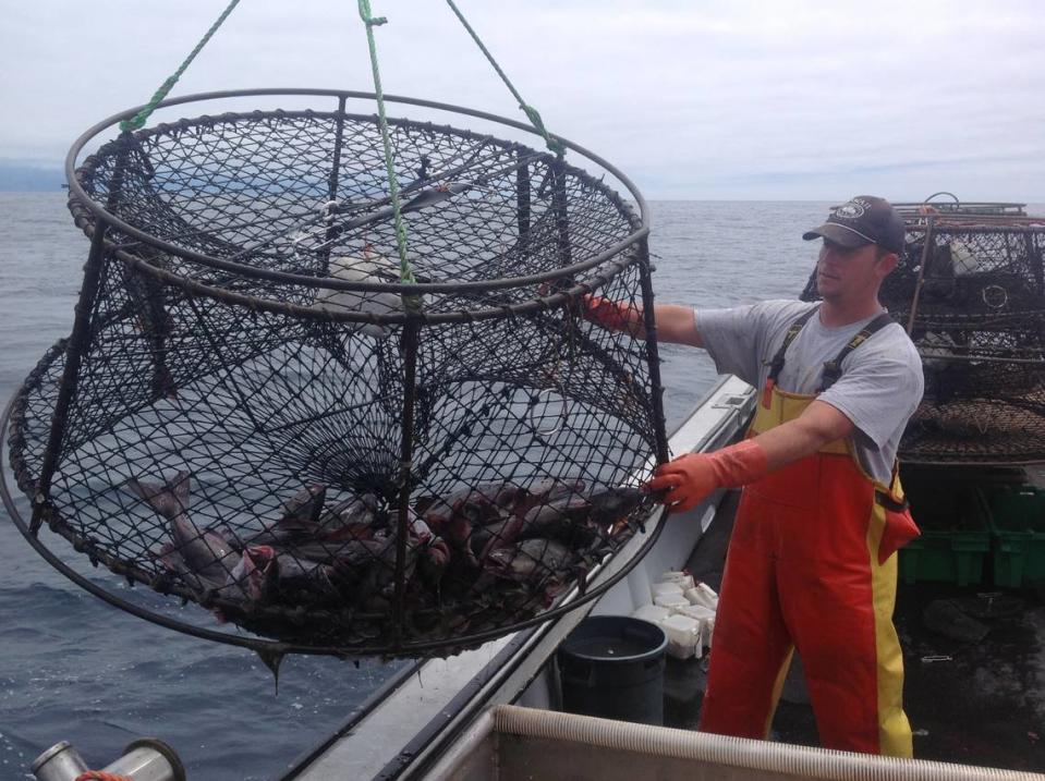 Scott Blue, Bill Blue’s son, guides in a catch of black cod.