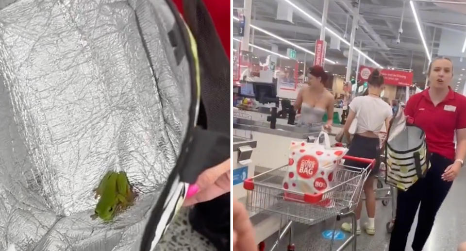 The Coles worker holding the bag with the frog inside.