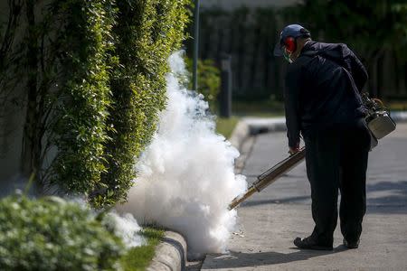 A worker sprays insecticide for mosquitos at a village in Bangkok, Thailand, January 13, 2016. REUTERS/Athit Perawongmetha