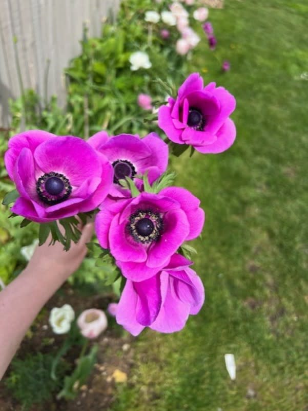 <p>Gina Mellard - Gina's Flower Garden on Instagram</p>