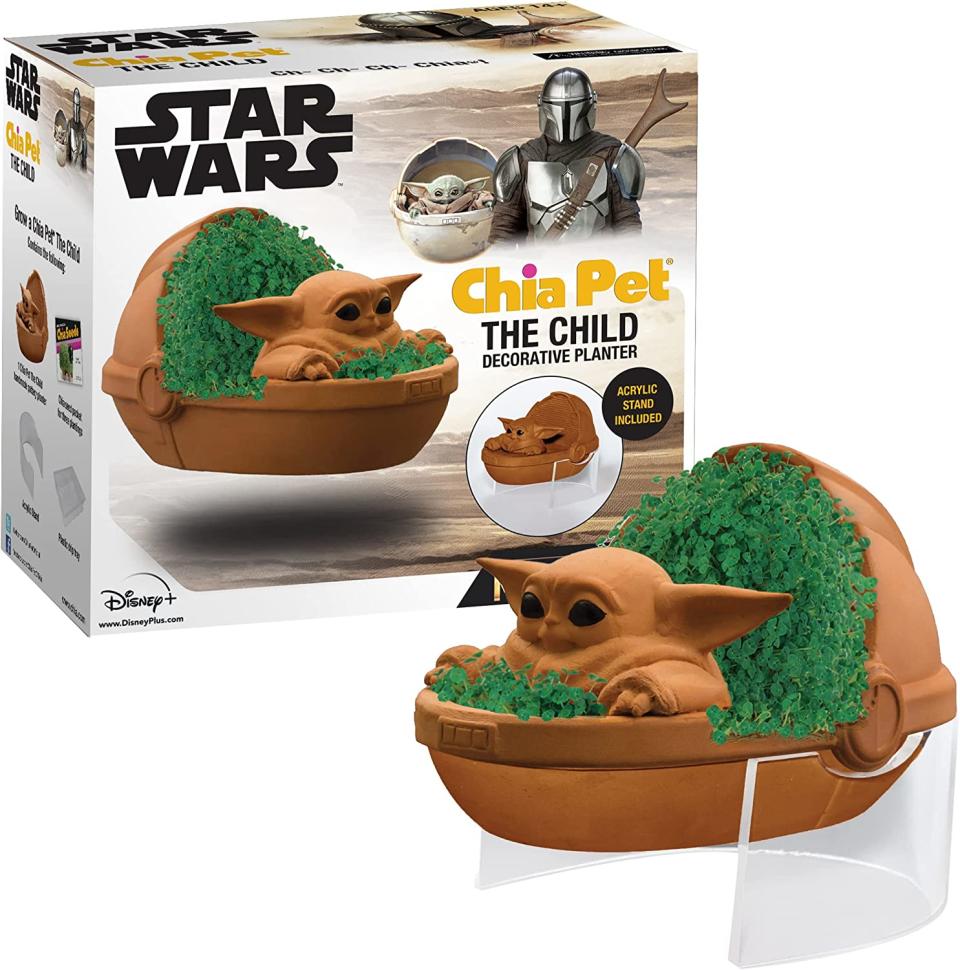 star wars chia pet with box