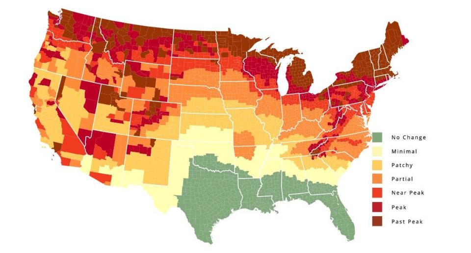 This map from SmokyMountains.com represents a fall foliage prediction for the week of Oct. 16.