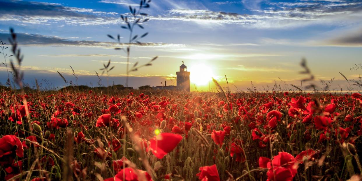 Photo credit: Matt Hayward/National Trust 