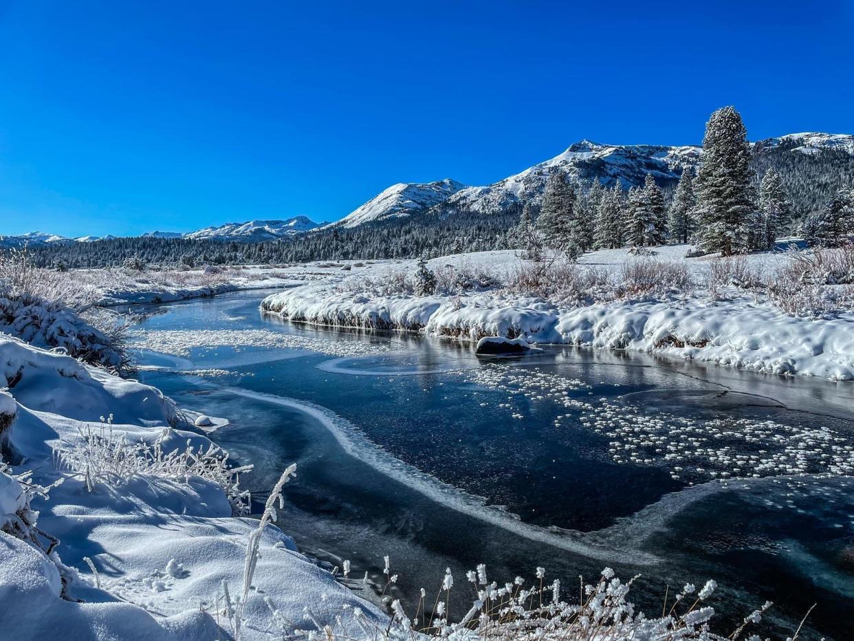 A view of the snowy mountains of California nearby a stream