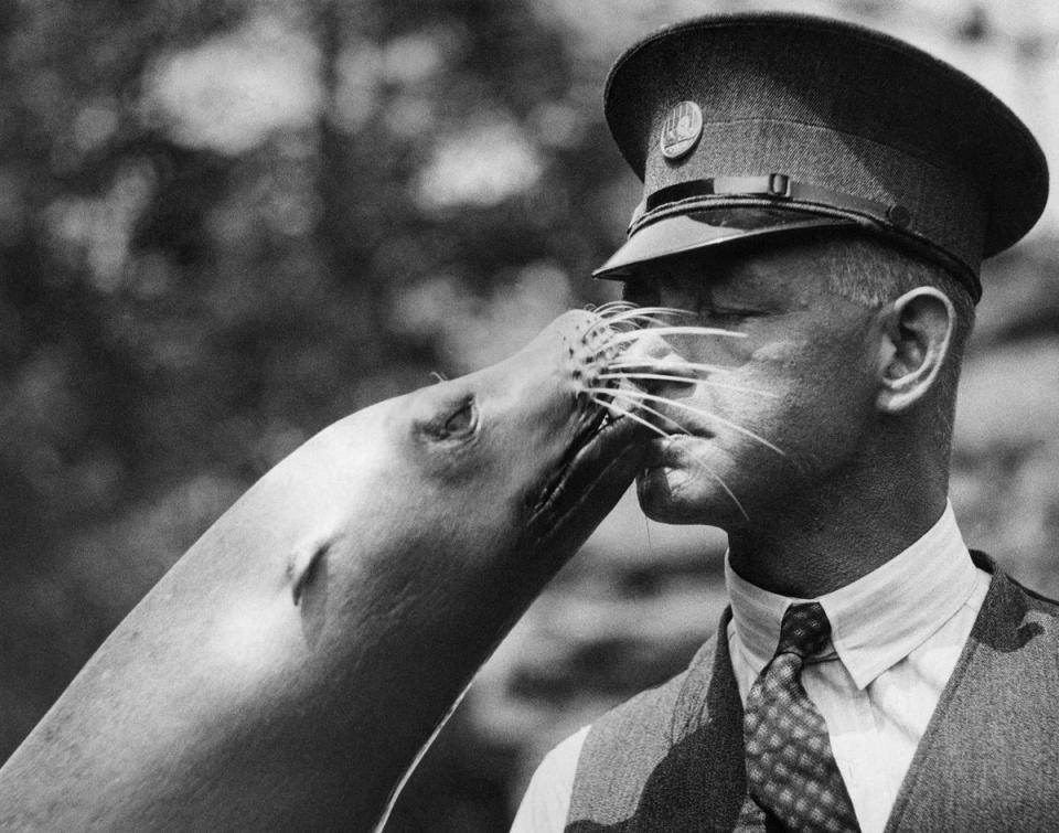 1934: Sealed with a kiss: A friendly sea lion gives his keeper a kiss (Fox Photos/Getty Images)