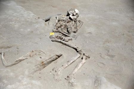 Skeletal remains are seen on the ground of the ancient Falyron Delta cemetery in Athens, Greece, July 27, 2016. REUTERS/Alkis Konstantinidis