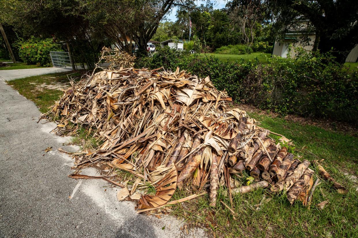 Yard waste in front of Don Holder's home on Hurst Road in Auburndale. Holder says the new yard waste collection rules are too difficult for him to comply with. Ernst Peters/The Ledger