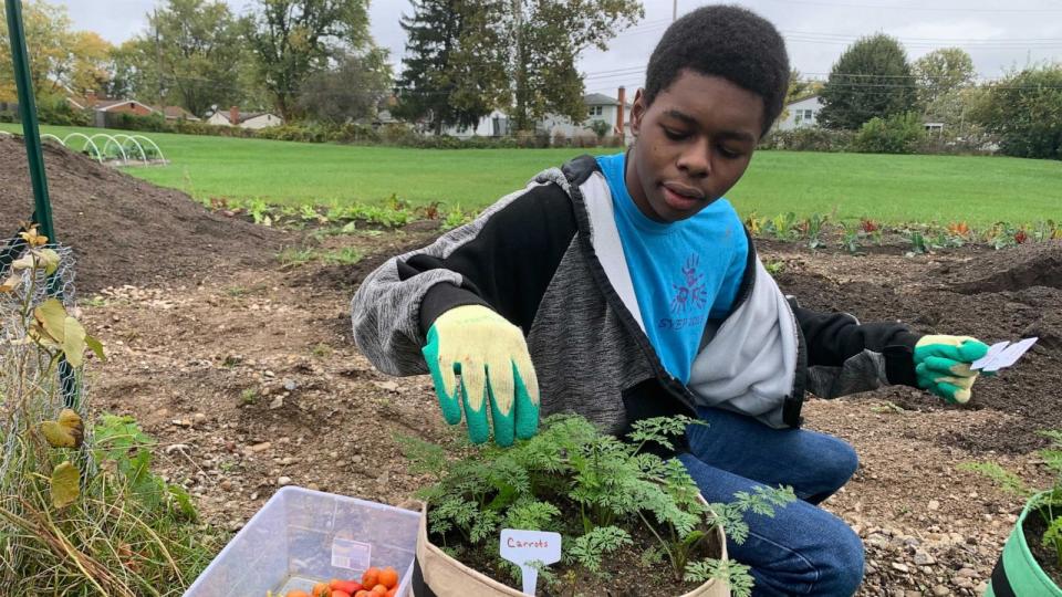 PHOTO: Te'Lario Watkins II tends to carrots in a vegetable garden for his nonprofit, The Garden Club Project. (The Garden Club Project)