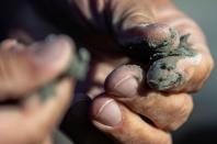 Glacial mud found in Greenland