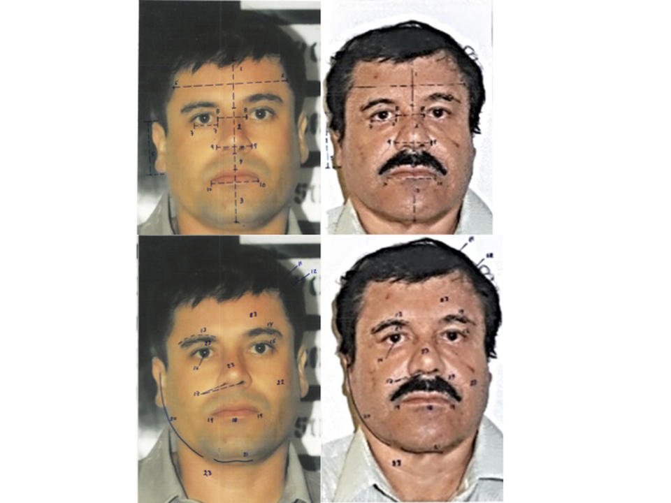 This combo of photographs released by Mexico's Attorney General Office (PGR) with identification mapping marks made by the source to point out similarities in face measurements, shows Joaquin "El Chapo" Guzman, using images made from his 1993 and 2014 detentions. The images at right were taken after his Feb. 22, 2014 arrest, and the photos at left were taken after his detention in 1993. The PGR used the pictures, among other tests, to determine that the man detained on Saturday, Feb. 22, 2014 was indeed the drug lord. Guzman was recaptured in Mexico's Pacific coast city of Mazatlan after 13 years on the run as fugitive head of the Sinaloa cartel. (AP Photo/PGR)