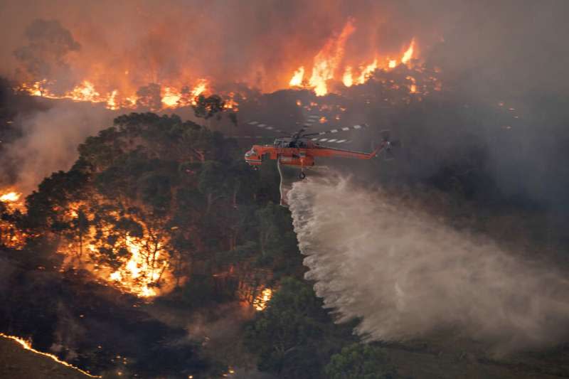 澳洲野火延燒多月，造成至少24人死亡，近5億動物喪命。（AP）