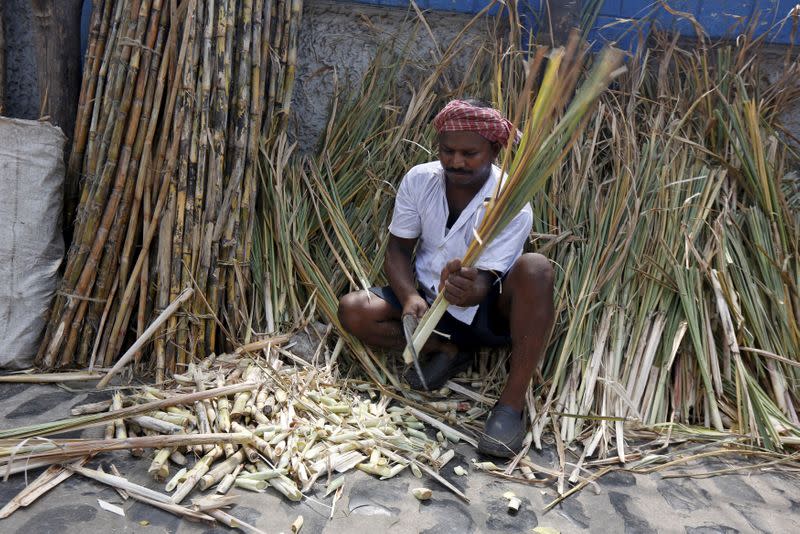 FILE PHOTO: A vendor cuts sugarcane at a roadside sugarcane market in Kolkata