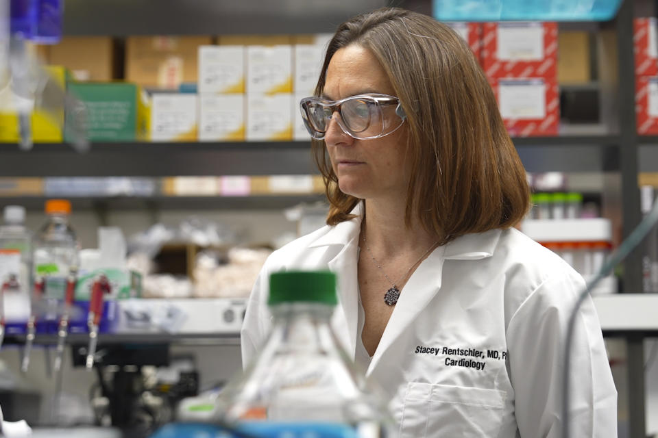 Dr. Stacey Rentschler observes work in her lab at Washington University in St. Louis on Wednesday, March 1, 2023. Doctors are zapping the heart with radiation normally reserved for cancer, a bid to better treat people with life-threatening irregular heartbeats who've exhausted other options. "It may actually rejuvenate sick tissue, and that's pretty exciting," says Rentschler. (AP Photo/Angie Wang)