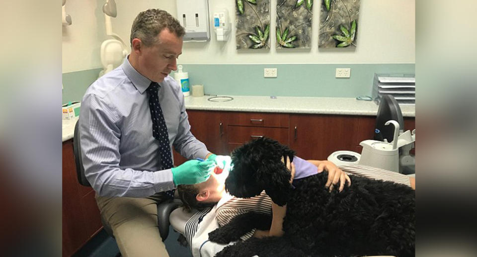 Labradoodle Comet and Dr Dan Ford (pictured) at work the Paediatric Dental Group, Alderley