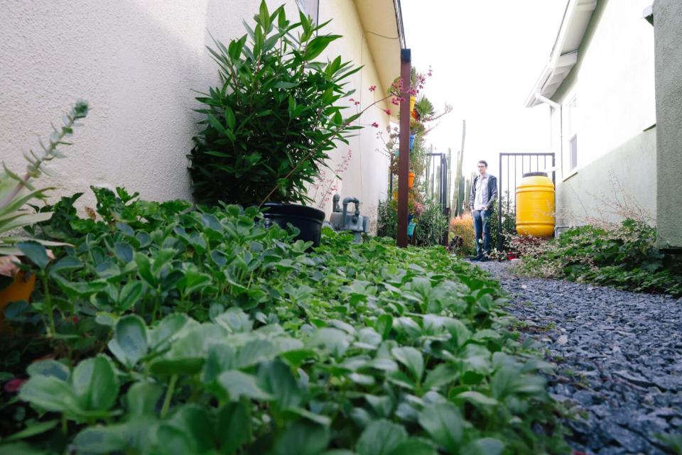 Brian Bautista stands at the end of a side yard.