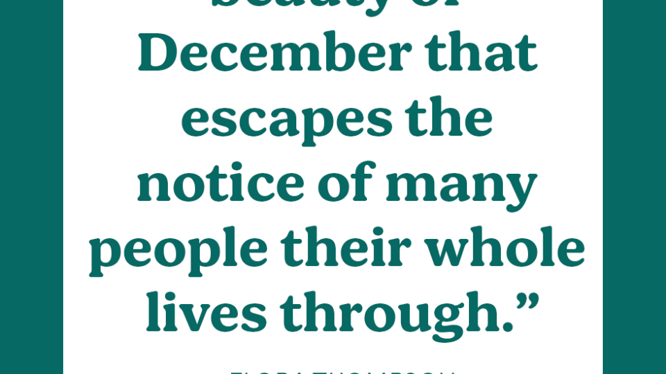 best december quotes