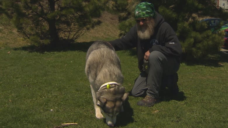 10 million steps for mental health: Man and husky complete cross-Canada walk