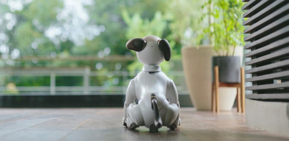 Sony推出「aibo Foster Parent」計畫，為機器狗再找一個家