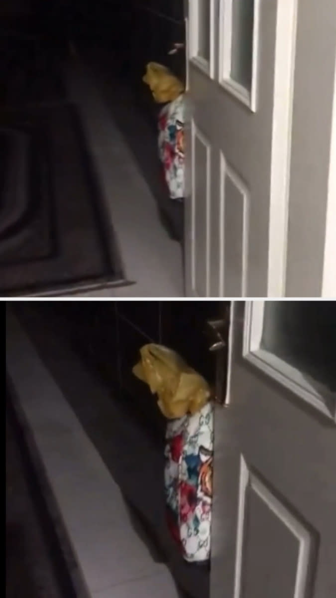 Two images stacked vertically showing a cat with its head stuck in a plastic bag, peering around a door frame at night