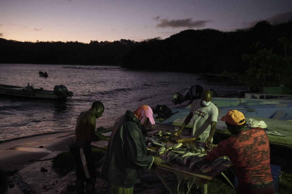 Fishermen clean and cut their catch in the village of Belle Garden on the Caribbean island of Tobago, Trinidad and Tobago, Thursday, Jan. 20, 2022. (AP Photo/Felipe Dana)