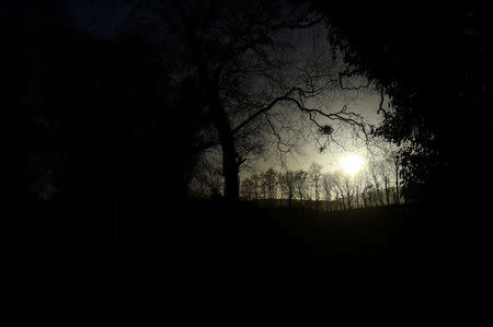 The border seen through tree branches in Kiltyclogher, Ireland, February 21, 2018. REUTERS/Clodagh Kilcoyne