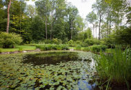 <p>The property also features a pond and babbling brook. (Airbnb) </p>