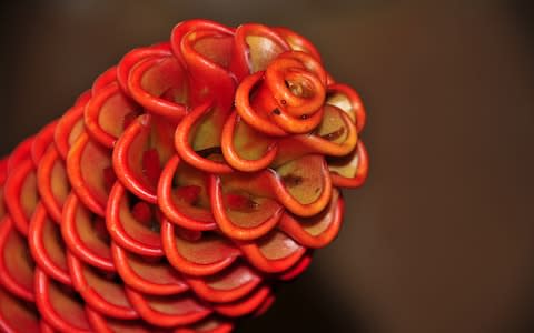 Beehive ginger inflorescence on Principe island - Credit: iStock