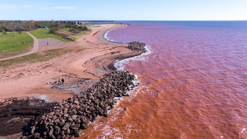 There are six reefs along this shoreline near the West Point lighthouse and Cedar Dunes provincial park. 