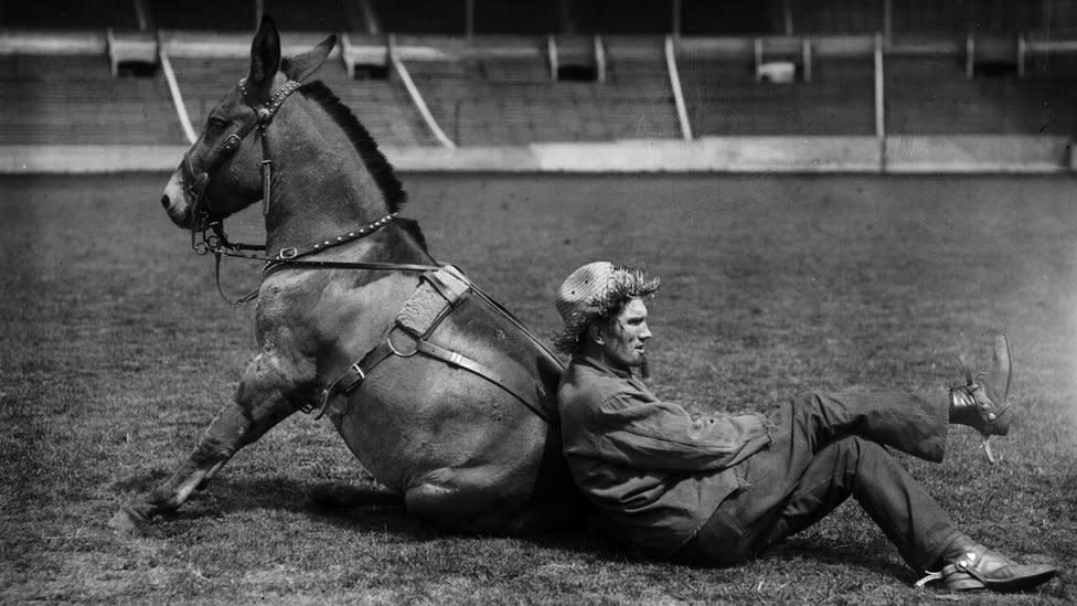 Black and white image of a rodeo performer in costume leaning against a mule