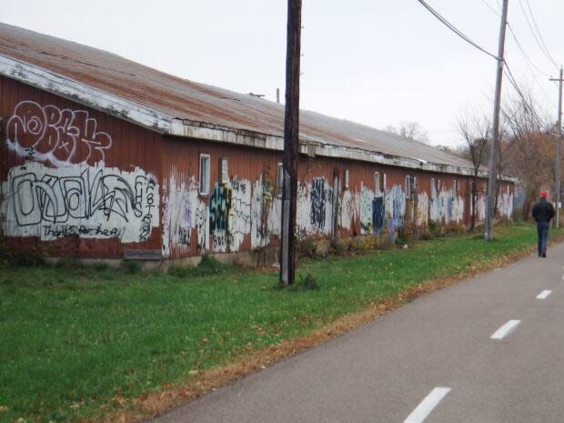 The Fredericton Trails Coalition, in partnership with the New Brunswick Provincial Exhibition (NBEX), is seeking an artist to create a mural along the horse barns. (Fredericton Trails Coalition - image credit)