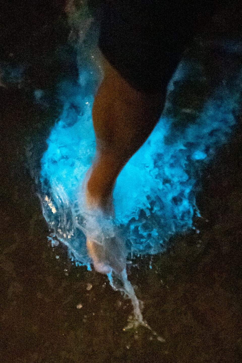 Glowing bioluminescence waves have been seen off Laguna Beach, Calif. on Aug. 30, 2023.