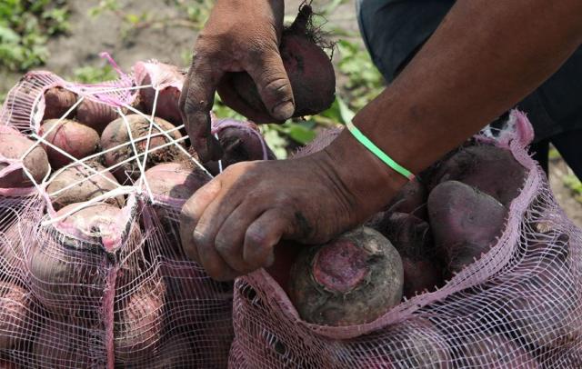 El jugo natural que ayuda a mejora la circulación en la piernas