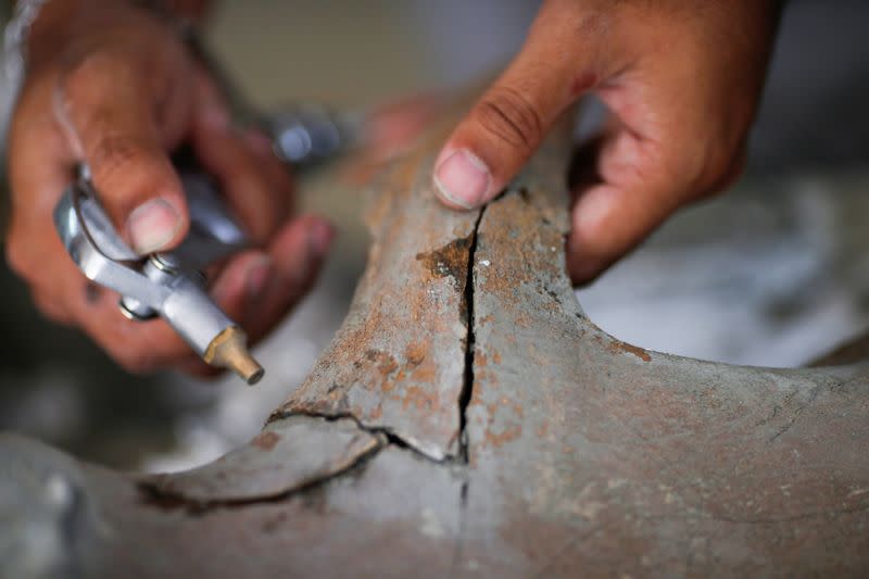 A Thai archaeologist works on a whale skeleton in Pathum Thani
