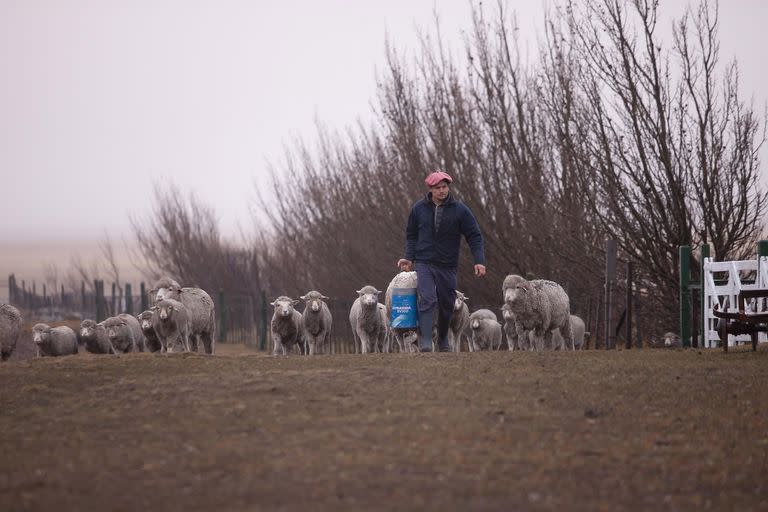 Federico Rodríguez Zahn, realizando trabajos con la hacienda en la Estancia 3 de Enero