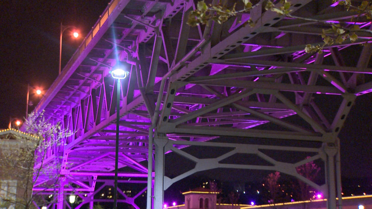 Homestead High Level Bridge (Homestead Grays Bridge