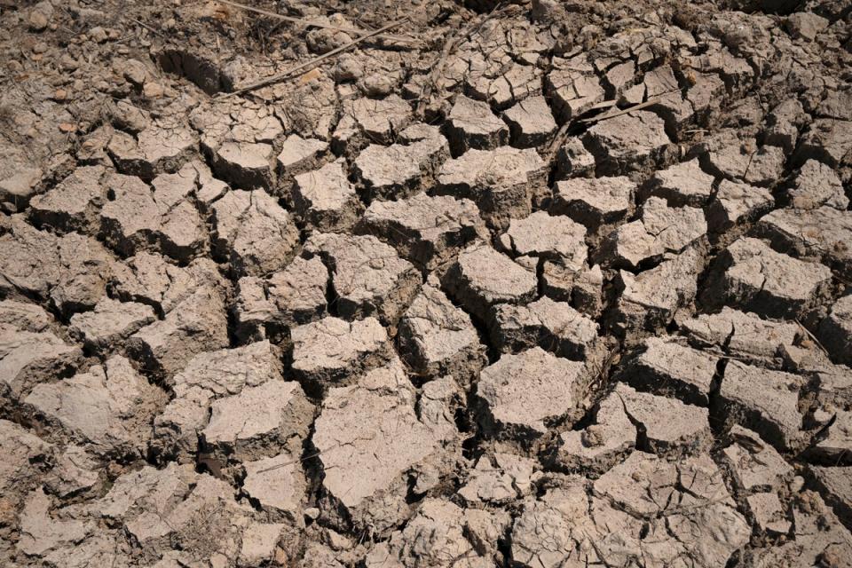 Cracked dry mud is seen in a community reservoir in Longquan village in southwestern China's Chongqing Municipality (Copyright 2022 The Associated Press. All rights reserved)