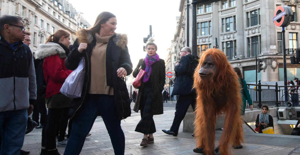 The orangutan tried to make some new friends at Oxford Circus on Wednesday. (PA Images)