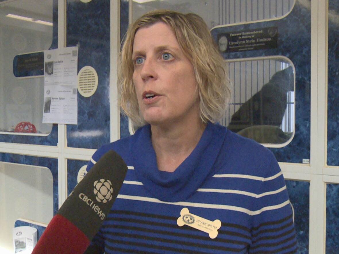 Executive director of the Windsor-Essex Couty Humane Society, Melanie Coulter, said the shelter took in eight dogs, 18 cats and 7 small animals after residents were evacuated from 1616 Ouelette Ave.  (Darrin Di Carlo/CBC - image credit)