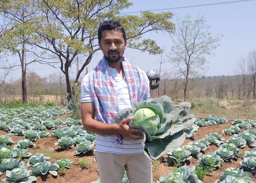 Jitendra Bangar and his cabbages in Bhiwandi, India | Photo courtesy of Nishi Kant Dixit and Rajnikant Prasad