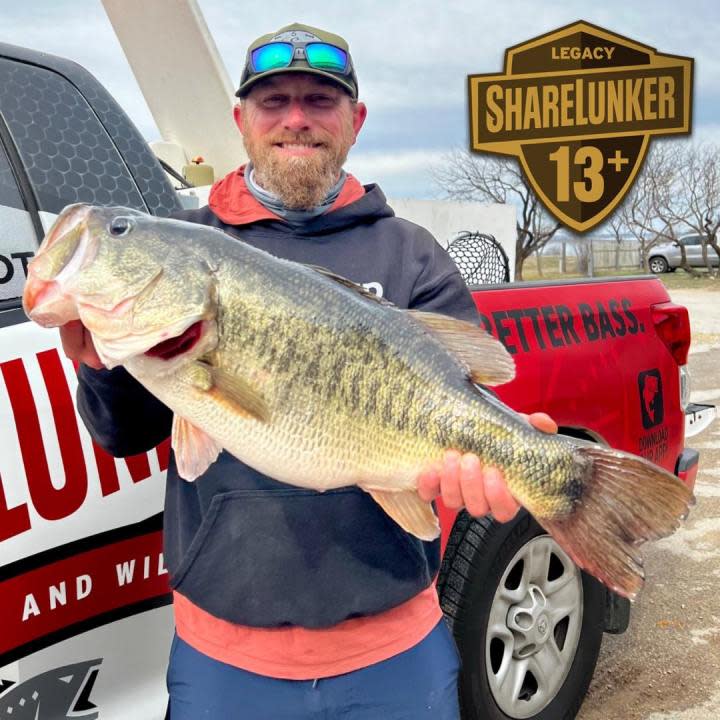 Josh Hiler holding up a 13.13 pound bass, making it the fifth Legacy ShareLunker caught from O.H. Ivie so far in 2024.
