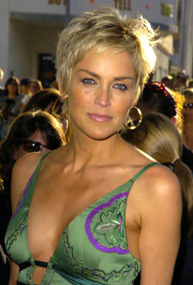 Sharon Stone at the Hollywood premiere of Warner Brothers' Catwoman