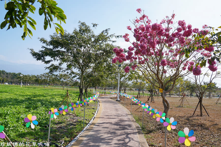 屏東新埤鄉綜合休閒公園｜向日葵花海