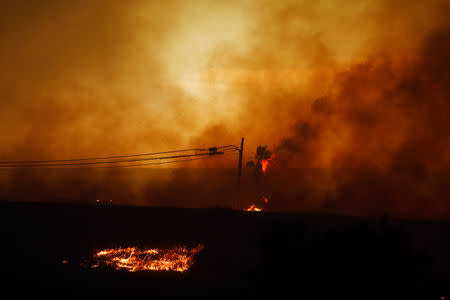 The Woosley Fire burns in Malibu, California, U.S. November 9, 2018. REUTERS/Eric Thayer