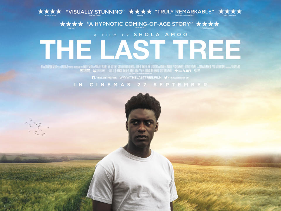 The poster for The Last Tree (Picturehouse)