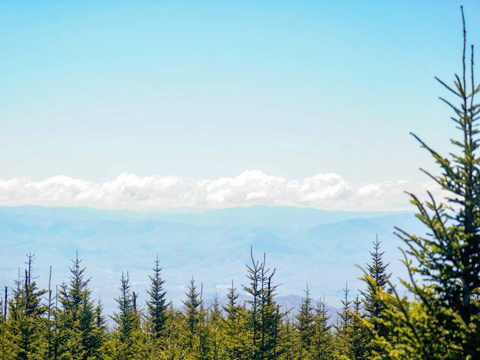 Tops of Evergreen trees in the Great Smoky mountains in the foreground with mountains and cloudy skies in the background