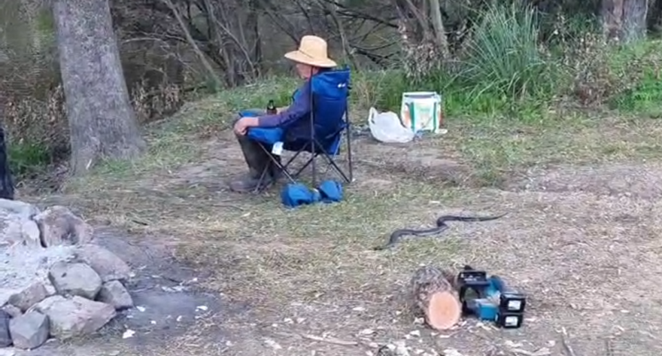 A 57-year-old man sits with his back to camera. A snake can be seen slithering behind him.